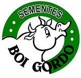 Sementes Boi Gordo