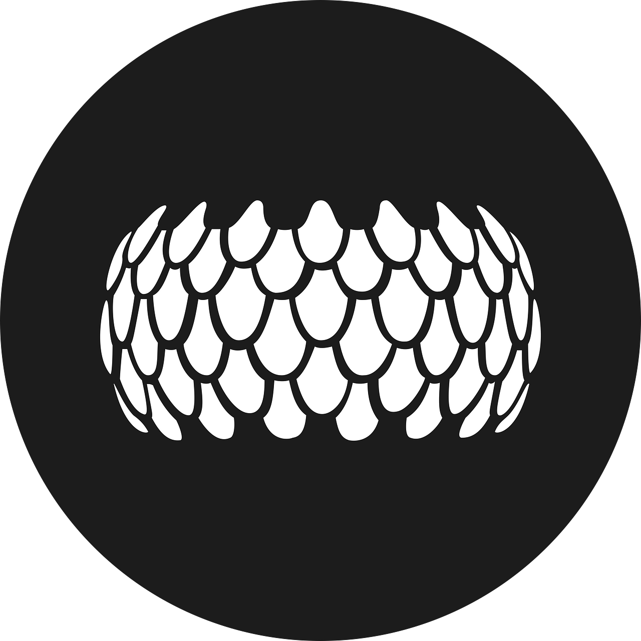 SIRIN LABS Token