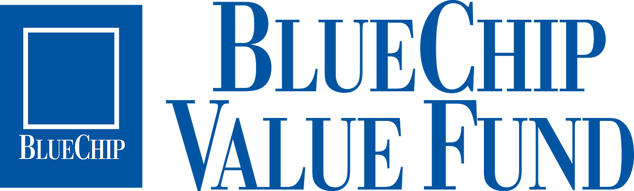 Blue Chip Value Fund