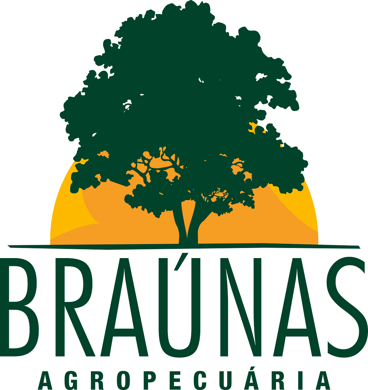 Braunas Agropecuaria Ltd