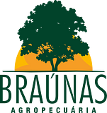 Braunas Agropecuaria Ltd