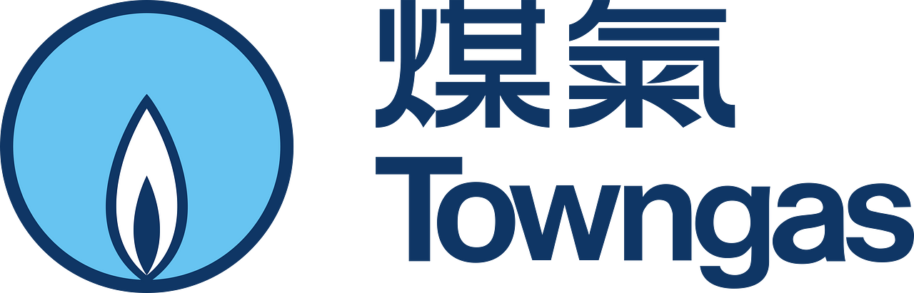 The Hong Kong and China Gas Company