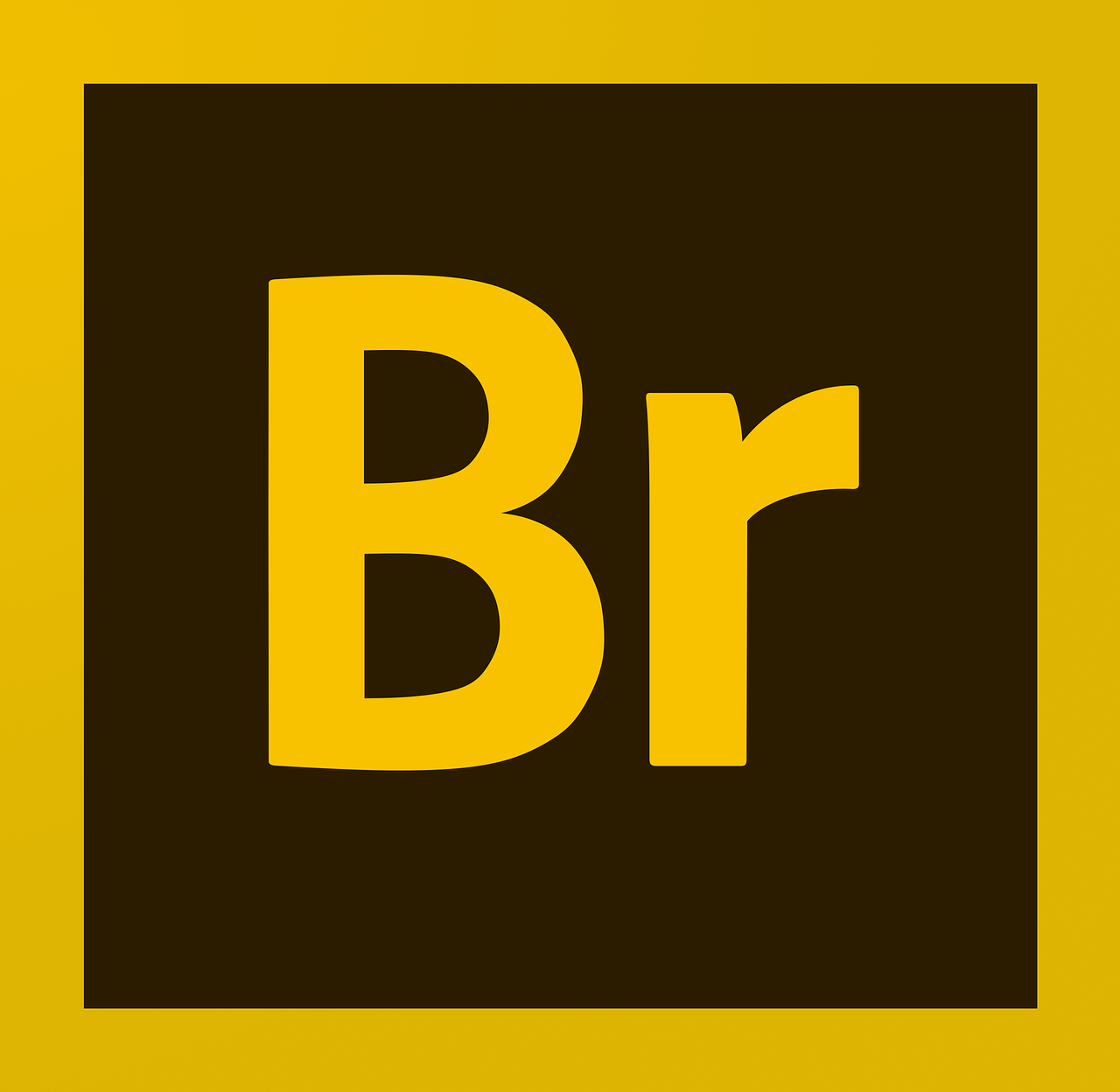 Adobe Bridge