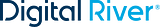 Digital River