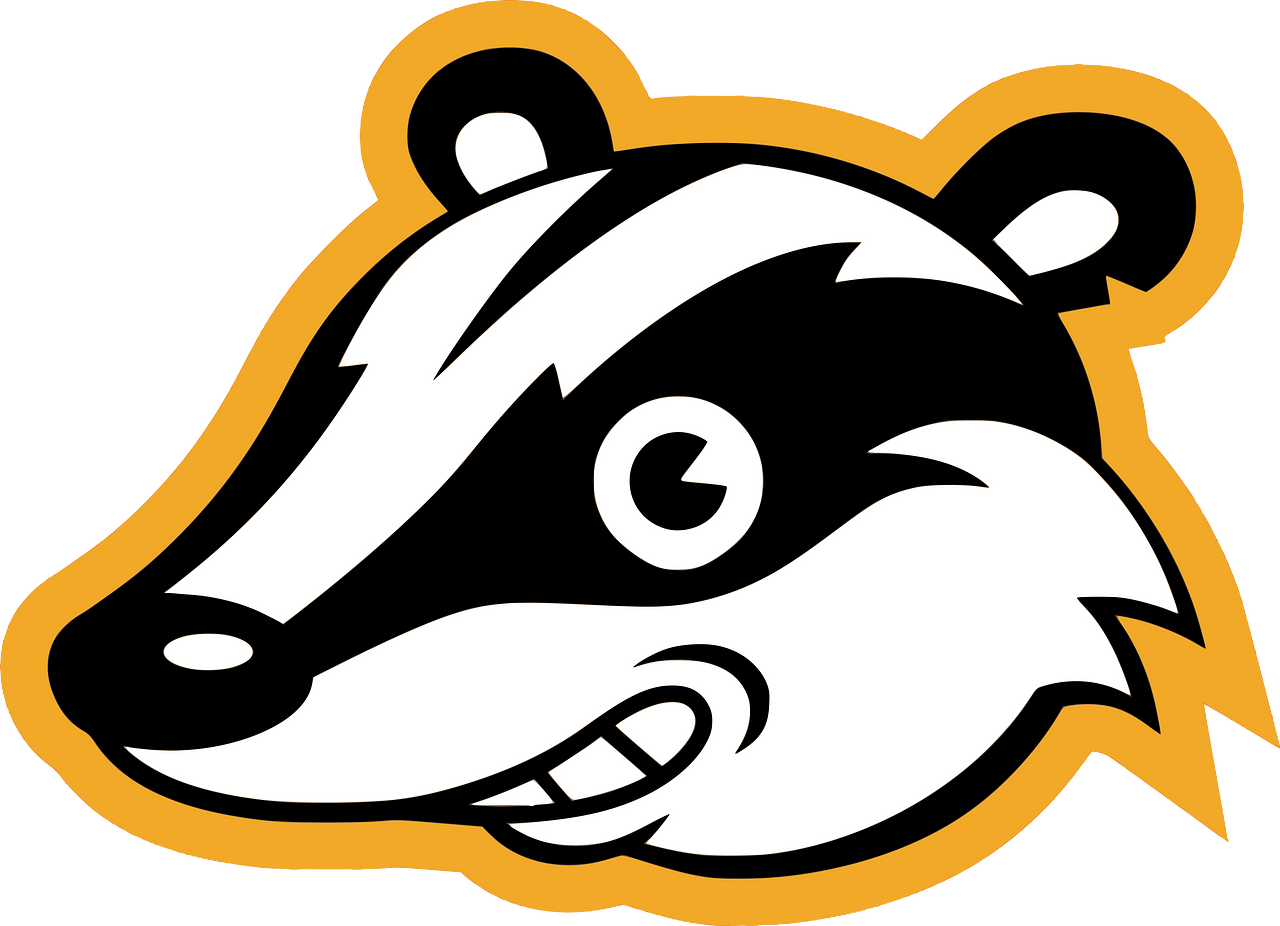 Privacy Badger