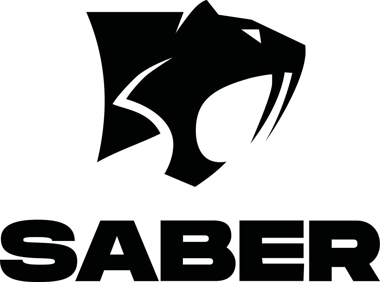 Saber Interactive