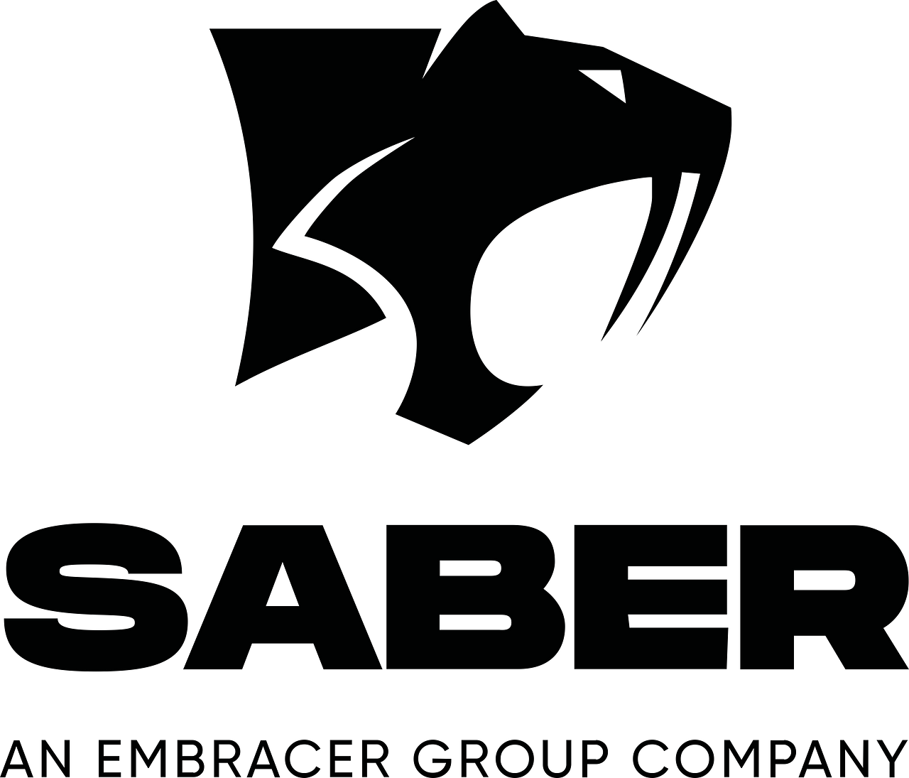 Saber Interactive