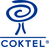 Coktel Vision