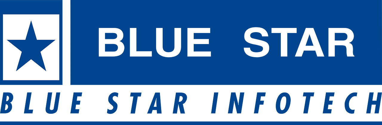 Blue Star Infotech