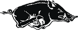 Arkansas Razorback
