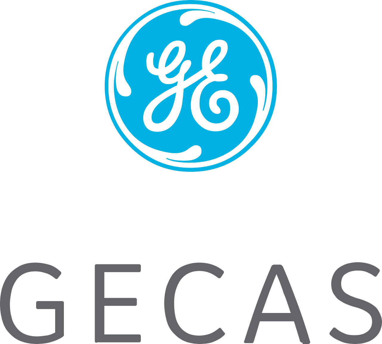 GE Capital Aviation Services (GECAS)