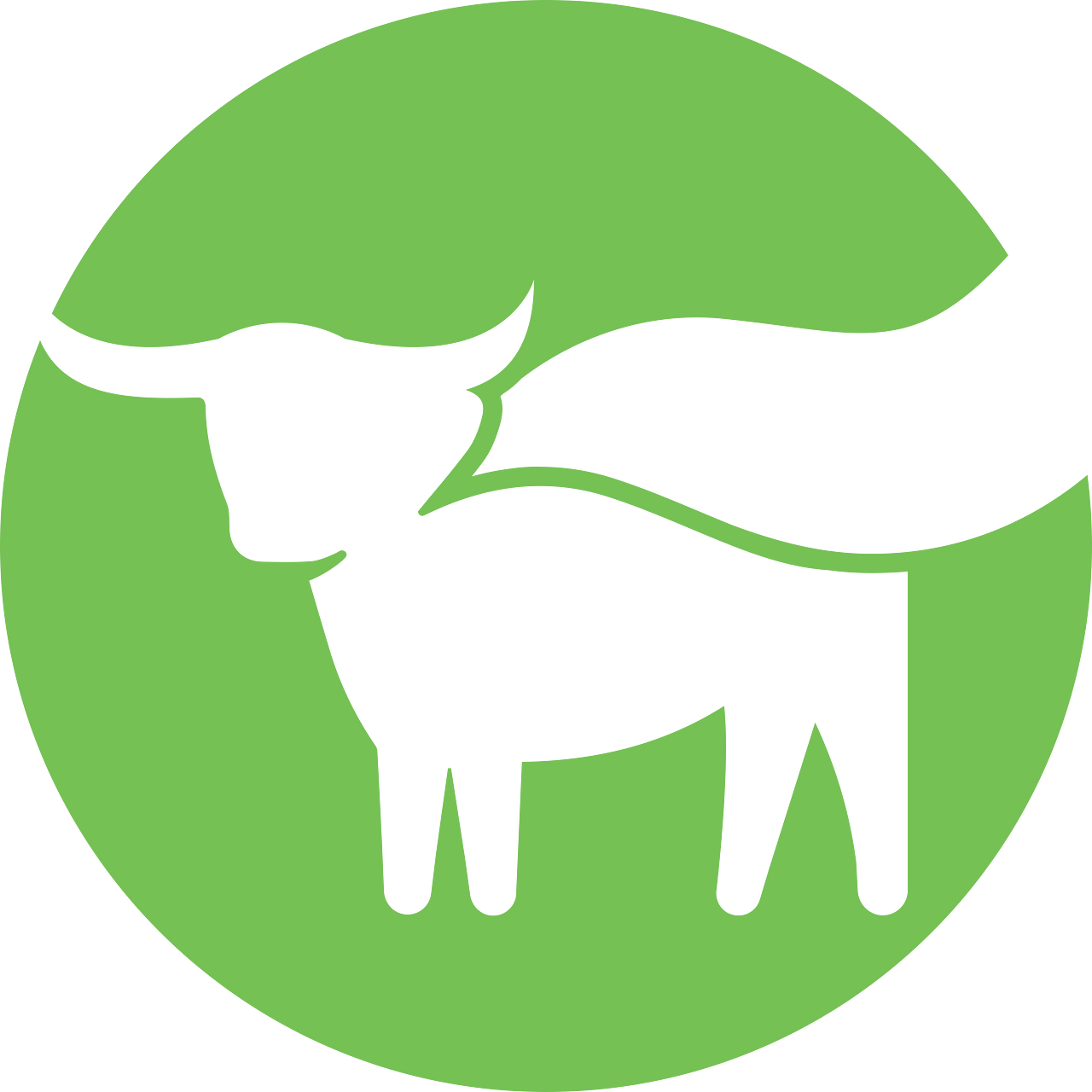 Beyond Meat