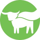 Beyond Meat
