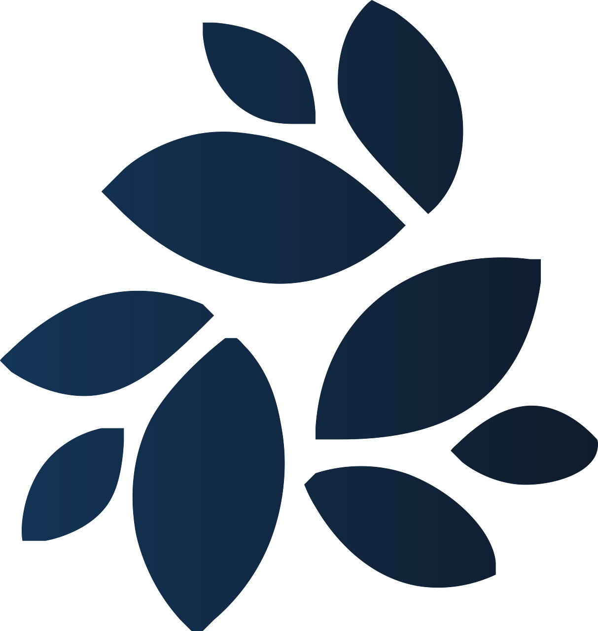 NKN