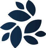 NKN