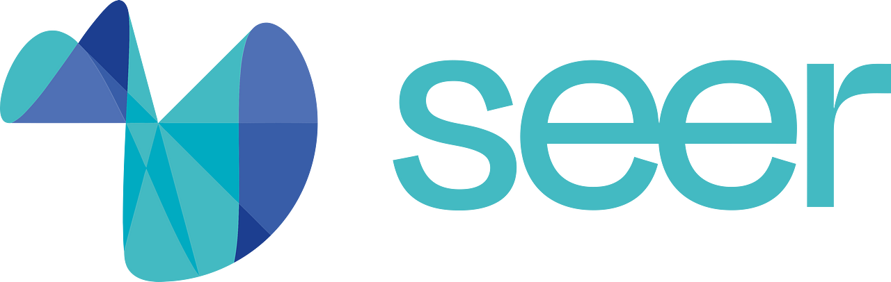 Seer