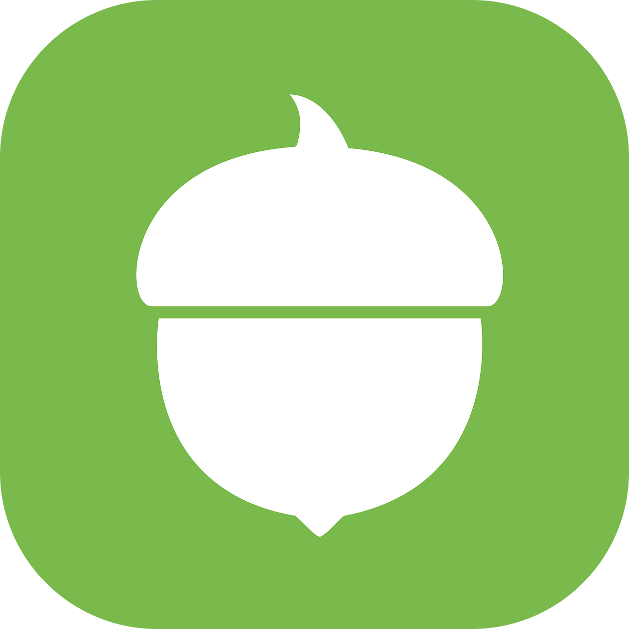 Acorns