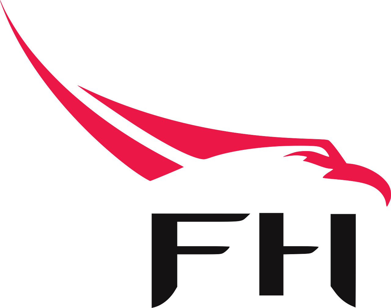 Falcon Heavy