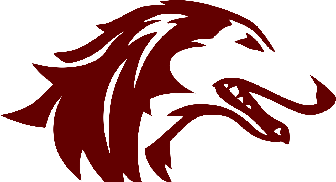 Southern Illinois Salukis