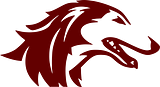Southern Illinois Salukis