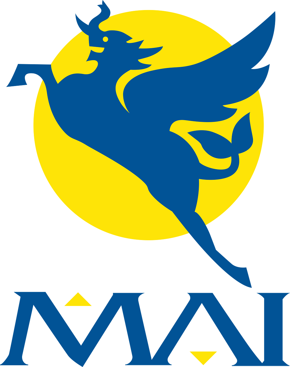 Myanmar Airways International