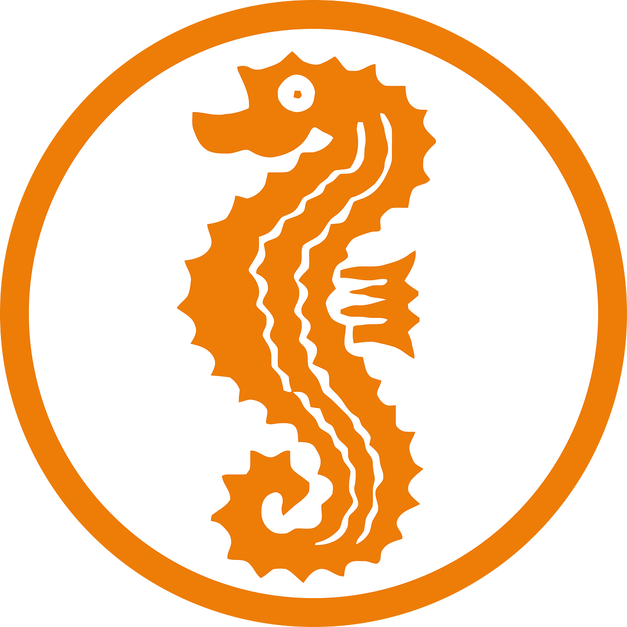 Seepferd