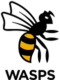 Wasps
