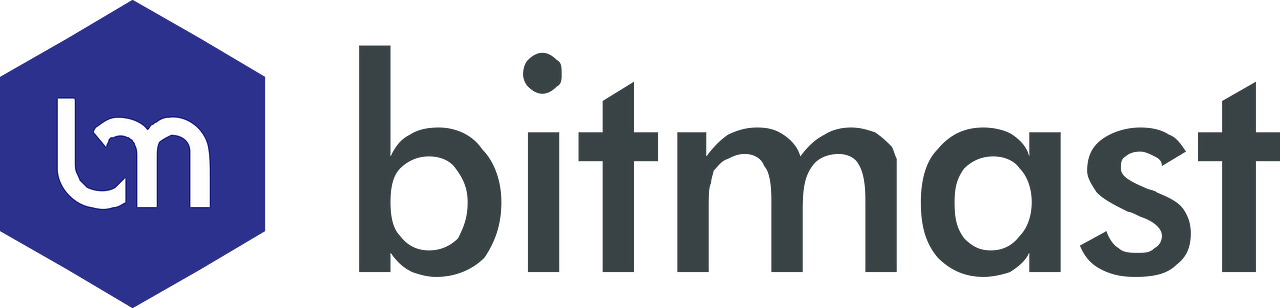 Bitmast