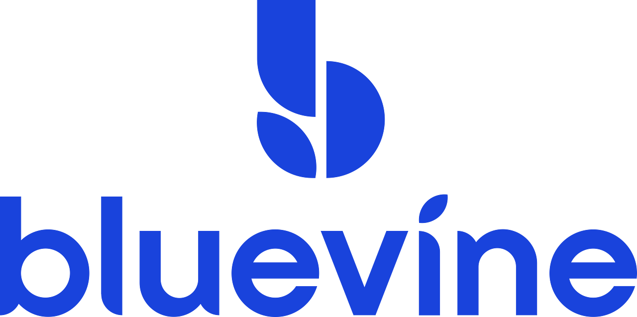 BlueVine