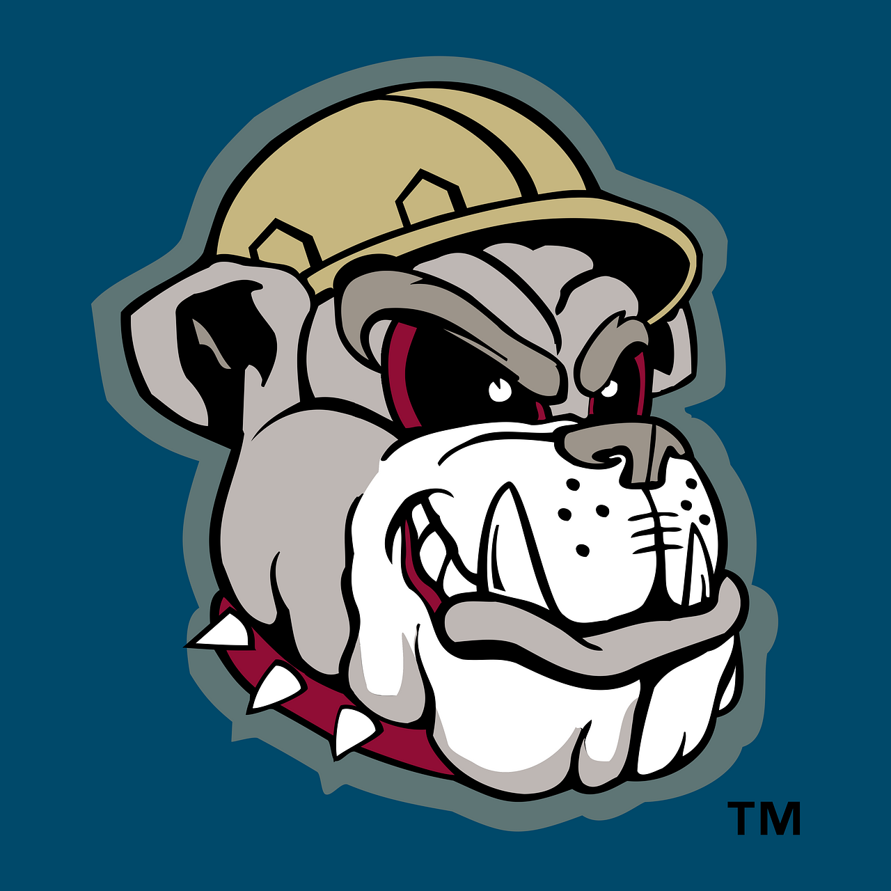 Mahoning Valley Scrappers