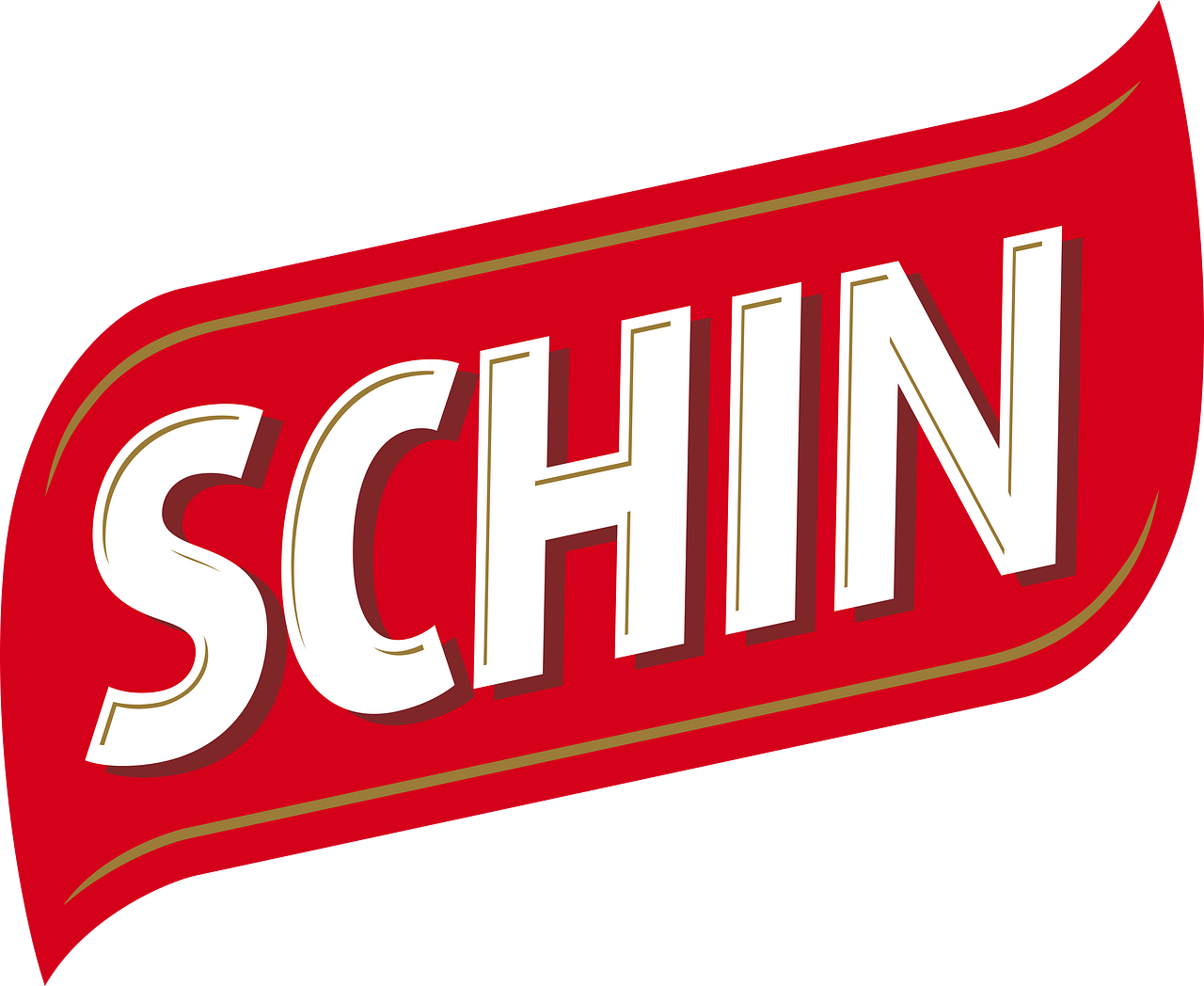 Schin