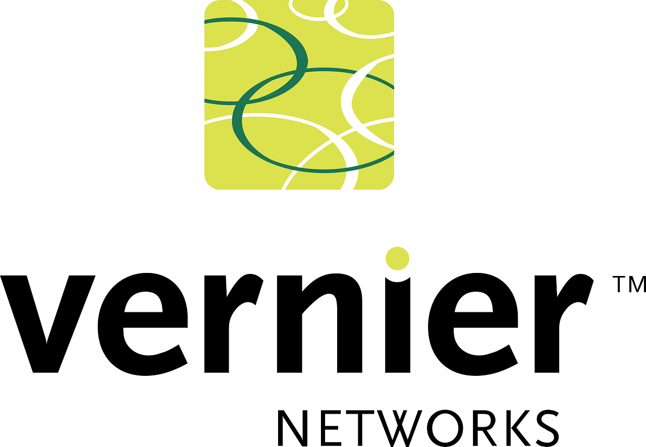 Vernier Networks