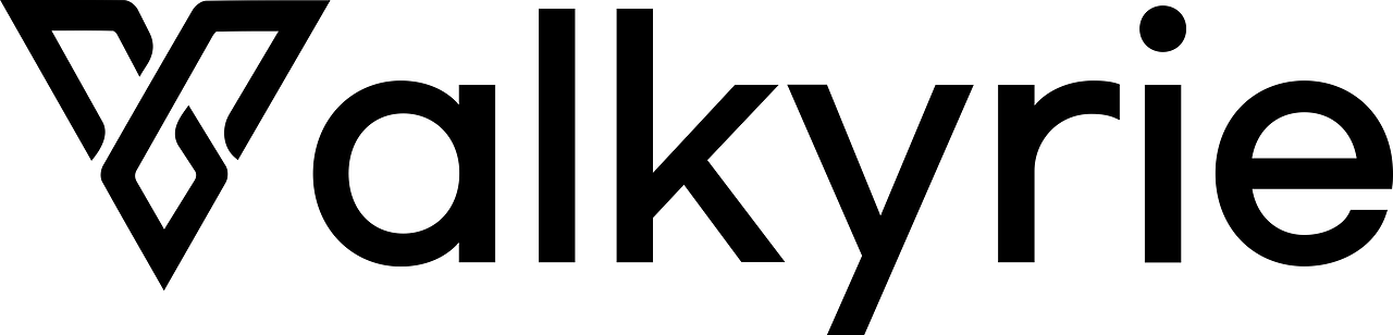 Valkyrie Protocol