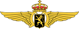 Belgian Air Component
