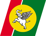 Yangon Airways