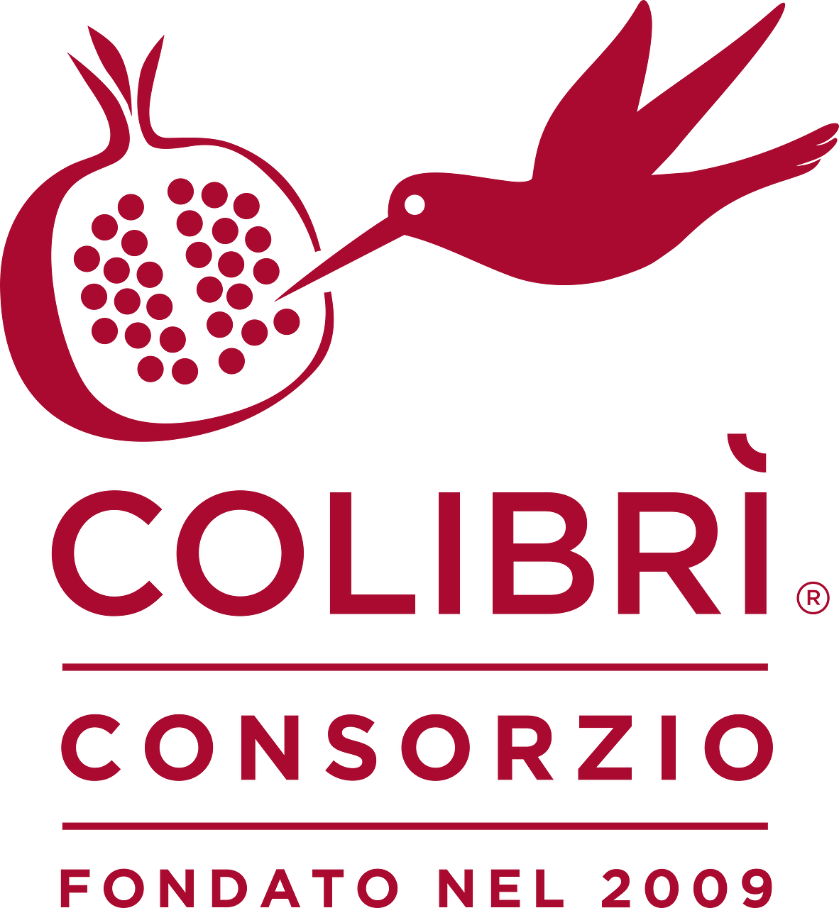 Consorzio Colibri