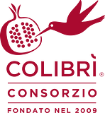 Consorzio Colibri