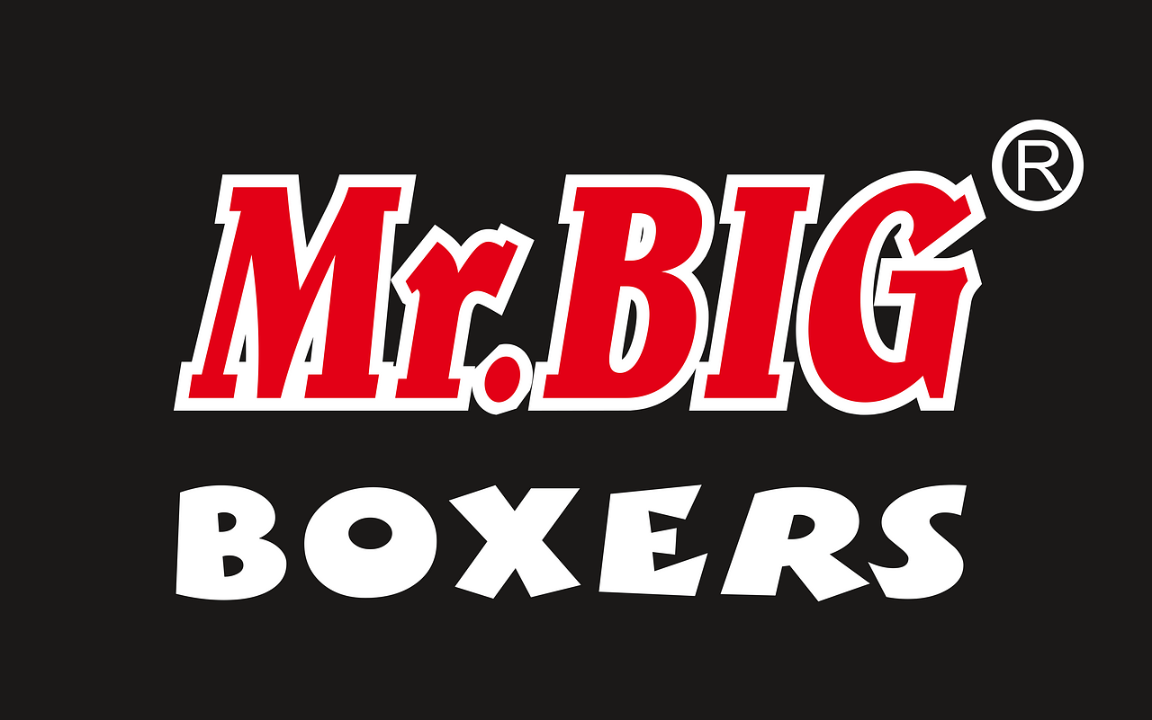 Mr. Big