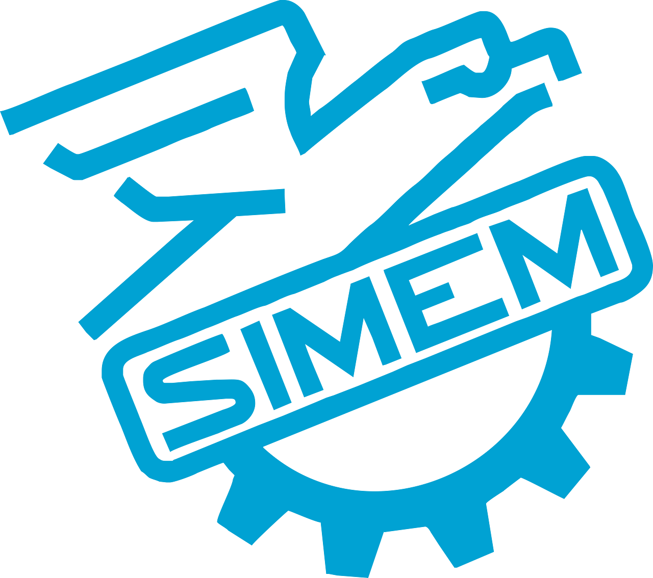 SIMEM