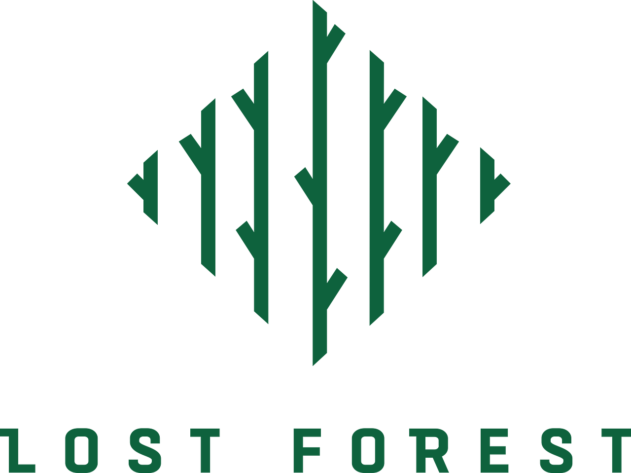 Lost Forest