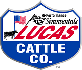 Lucas Cattle Company