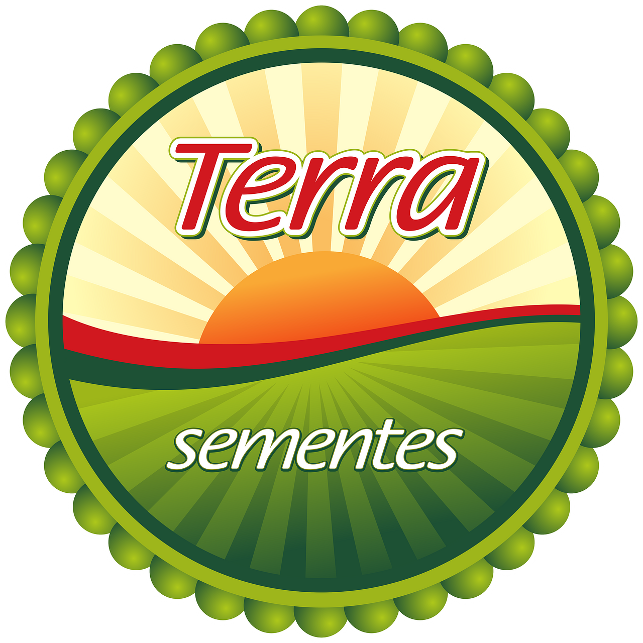 Terra Sementes
