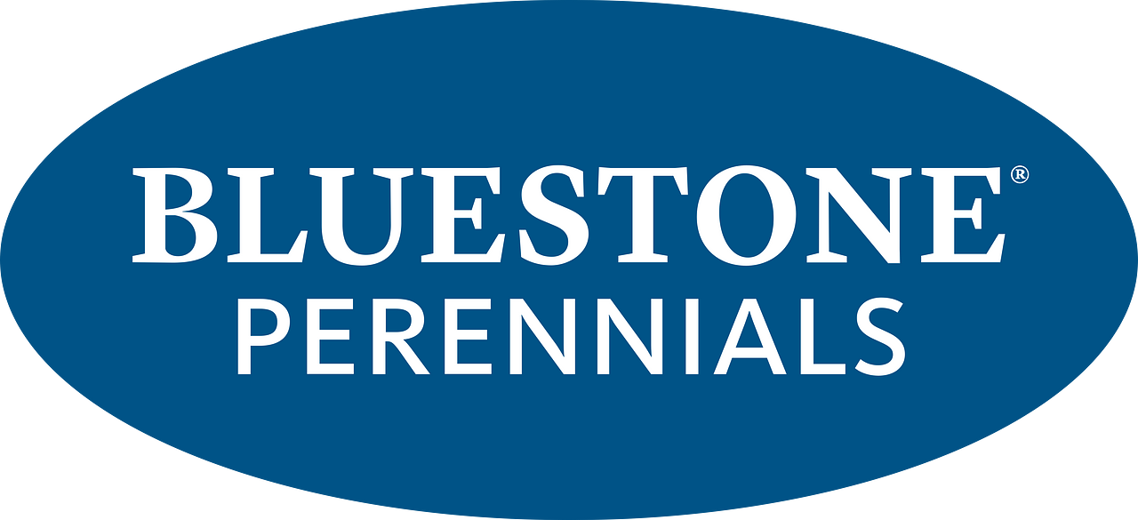 Bluestone Perennials