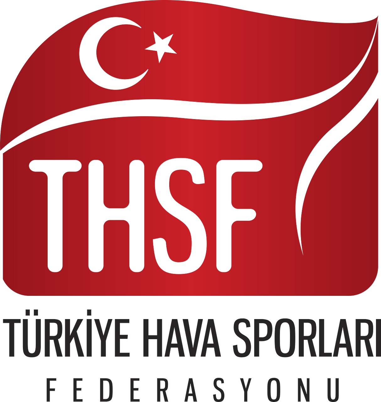 Turkiye Hava Sporlari Federasyonu