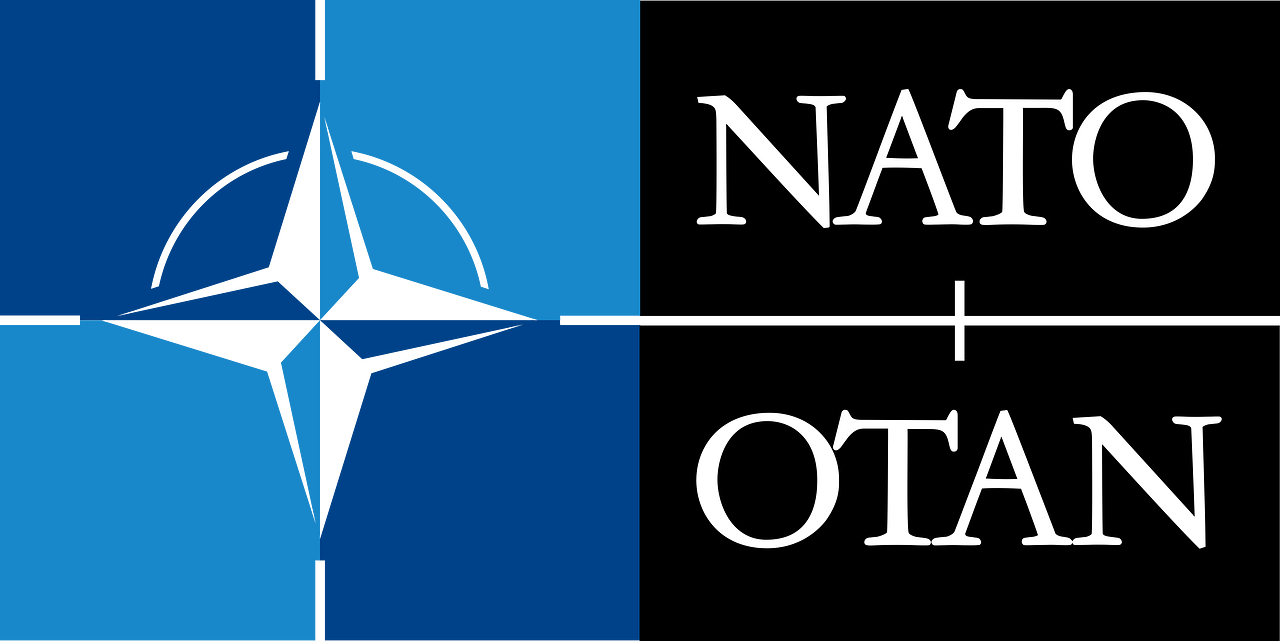 North Atlantic Treaty Organization (NATO)