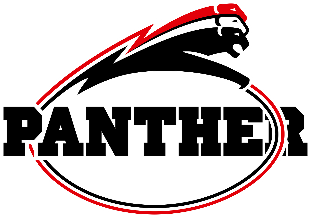 Dusseldorf Panther